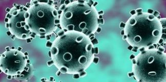Coronavirus : के 6 नए लक्षण आए सामने