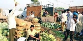 किसान ‘मंडियों’ में करें सोशल डिस्टेंसिंग का पालन- कृषि मंत्रालय