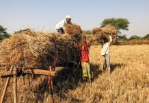 कोरोना संकट के बीच ग्रामीण अर्थव्यवस्था