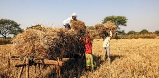 कोरोना संकट के बीच ग्रामीण अर्थव्यवस्था