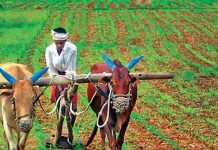 कोरोना संकट के बीच किसान