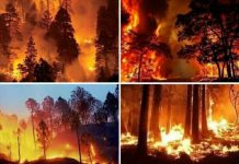 बढ़ते तापमान के कारण, पिछले 5 दिनों से जल रहा उत्तराखंड