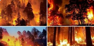बढ़ते तापमान के कारण, पिछले 5 दिनों से जल रहा उत्तराखंड