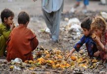 “विश्व खाद्य सुरक्षा दिवस” भूखमरी का बढ़ता हुआ खतरा