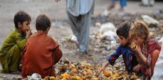 “विश्व खाद्य सुरक्षा दिवस” भूखमरी का बढ़ता हुआ खतरा
