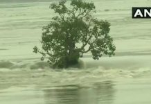 असम,पूरा गांव 2 दिन से डूबा हुआ था, सरकार और प्रशासन की तरफ से कोई मदद नहीं