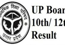 UP Board: 10 वीं और 12 वीं के परीक्षा परिणाम जारी, यहां रिजल्ट चेक करें