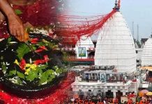 क्या है बाबा बैद्यनाथ का महत्व