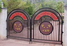 पन्ना टाइगर रिजर्व में रेंजर को हाथी ने कुचल कर मार डाला
