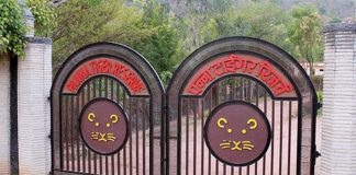 पन्ना टाइगर रिजर्व में रेंजर को हाथी ने कुचल कर मार डाला