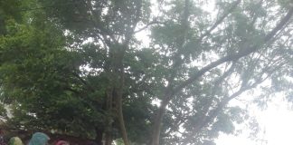 भदोही : आकाशीय बिजली गिरने से किशोर संग दो की मौत