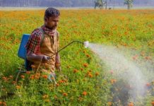 विपक्ष के कृषि बिल के भारी विरोध के बीच केंद्र सरकार ने कुल छह रबी फसलों पर एमएसपी मे वृद्धि की