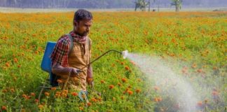 विपक्ष के कृषि बिल के भारी विरोध के बीच केंद्र सरकार ने कुल छह रबी फसलों पर एमएसपी मे वृद्धि की