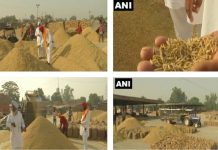 पंजाब में आज से 30 नवंबर तक खरीदा जाएगा धान