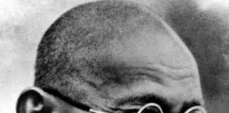 महामारी और महात्मा, आत्मनिर्भर भारत और गांधी, स्वदेशी आंदोलन और गांधी , स्वच्छ भारत के अग्रदूत महात्मा, महात्मा का प्रकृति प्रेम , जन-मन में बापू