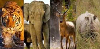 गाज़ियाबाद: कुशलिया ग्राम सभा के लोगों ने जाना वन्य प्राणी सप्ताह का महत्त्व